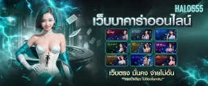 halo555 เว็บตรง